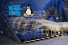 Анализ безопасности: программы-вымогатели в сравнении между Linux и Windows