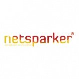 Netsparker Cloud Web Application Security Scanner