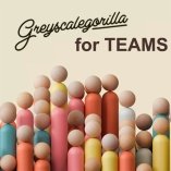 Greyscalegorilla for Teams 